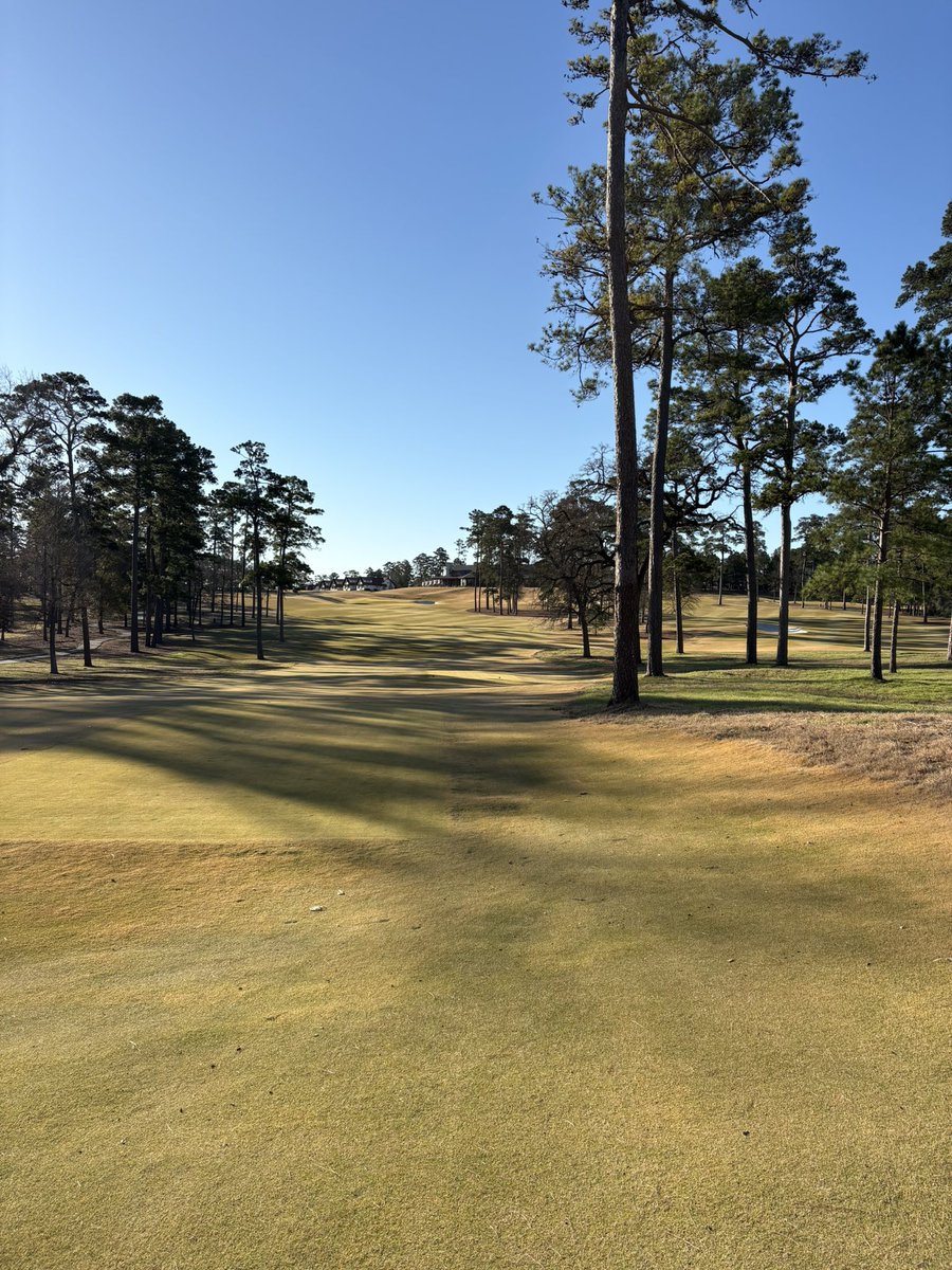 Eric Bauer tweet media