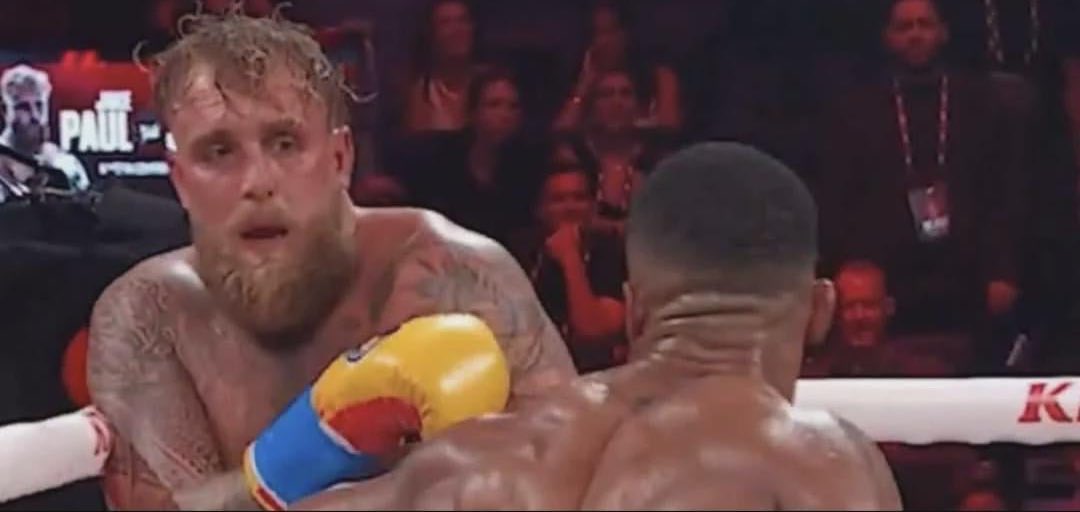 <a href="/jakepaul/">Jake Paul</a> How MAGA looks everytime they’re confronted with something they don’t like