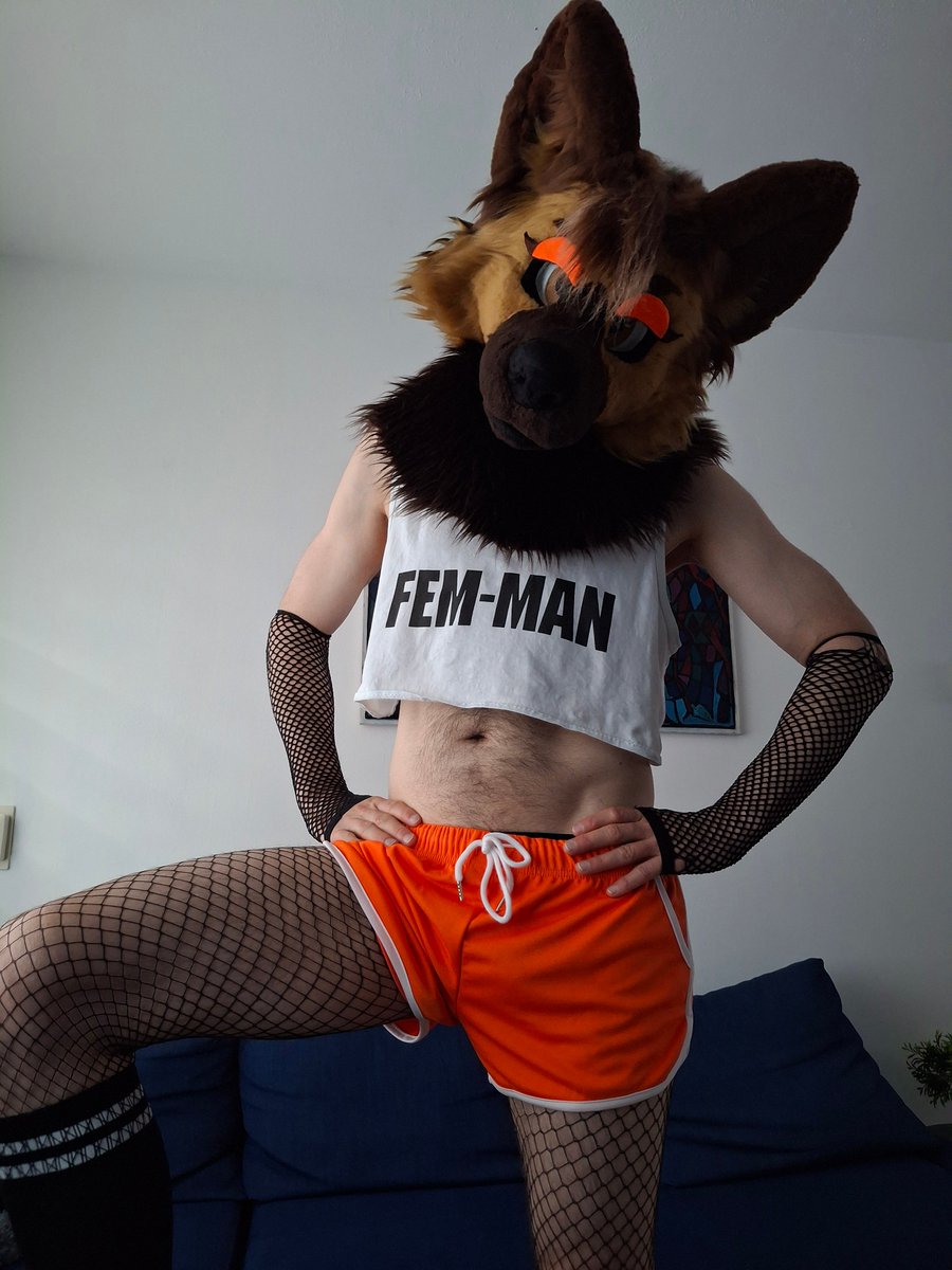 🔞DutchTheDogMan 🔜 Eurofurence tweet media