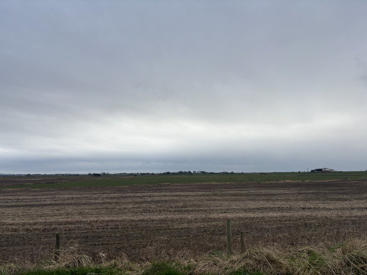 Tom Parkinson tweet media