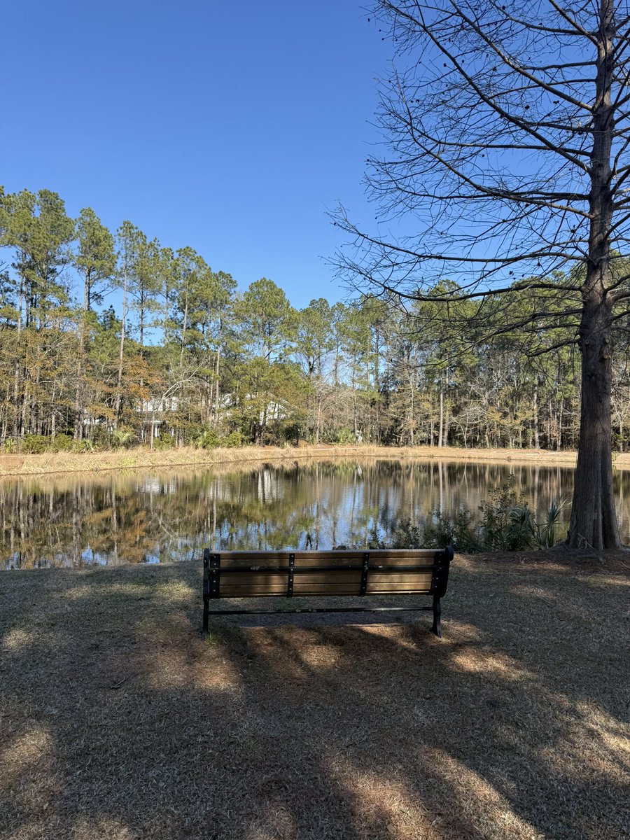 Ryan Griggs tweet media