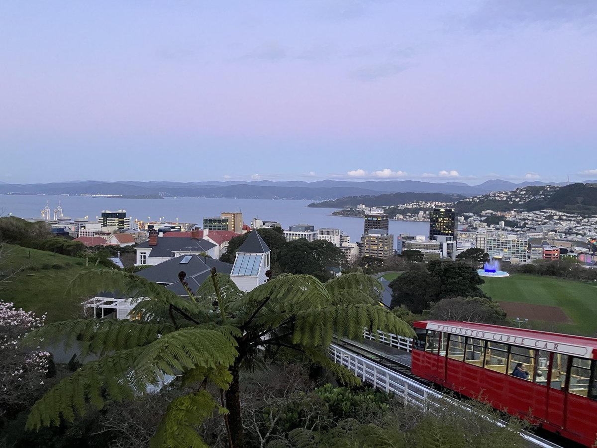 AndrewTownendNZ's tweet photo. Kelburn, 3/9/25 https://t.co/sKLP5L1Z5v