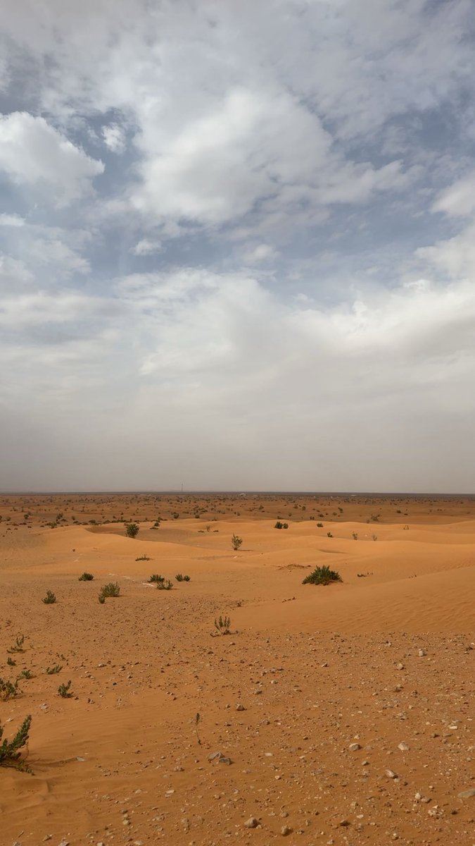 ‎نُ ✍🏻 tweet media