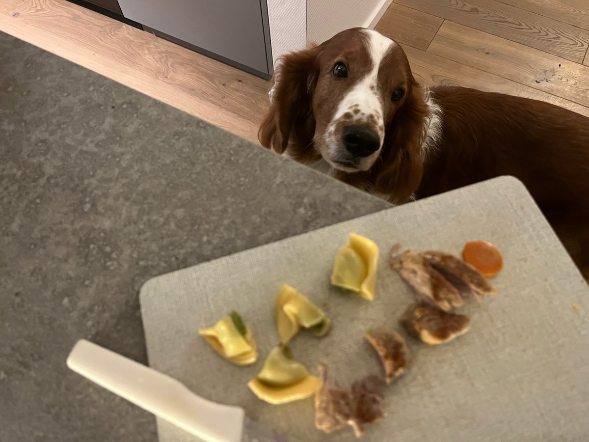 Geht doch nix über Essen zuhause - heute Tortellini mit Spinat-Ricotta und Schweinefilet. 😋
👨‍🦱Mich hat heute wieder ein Gespräch im Konzept „Menschenessen für Vierbeiner“ bestärkt: 8 Jahre Barf O.K.- dann plötzlich Juckerei. 🙄Nun nur noch Menschenessen - alles wieder gut. 🍀