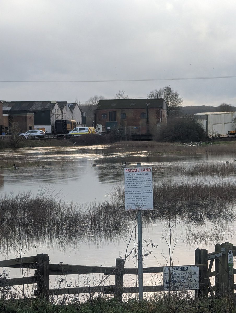 Neil Macmillan tweet media