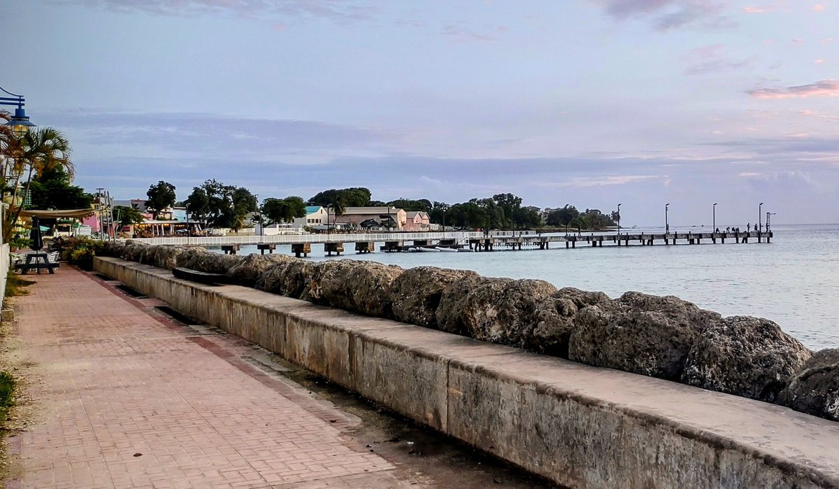 Sonia Eden tweet media