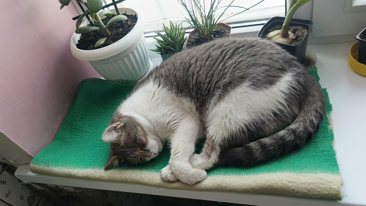 Та, кому живется в кайф