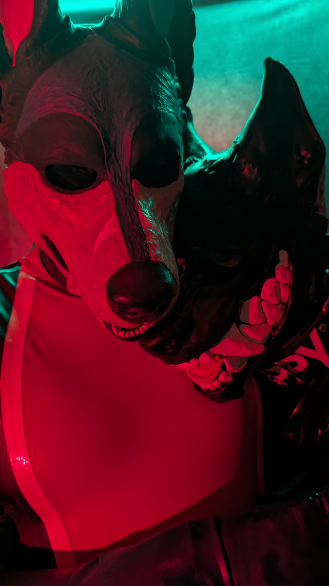 Dog Drones

w/ <a href="/Dog_Nebaka/">Nebaka @ScotiaCon @NFC</a>