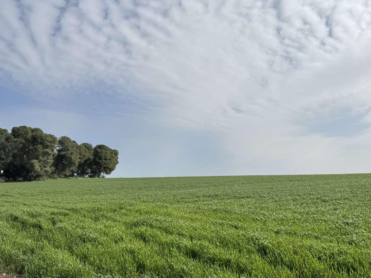 Moran Lugassi Tal tweet media