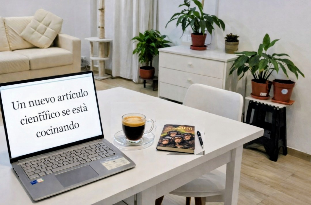 Mi trayectoria como investigadora solo estaba en pausa. Comienza una nueva etapa como investigadora independiente, con autonomía académica para definir tiempos, enfoques y espacios de publicación.
#AutonomíaAcadémica 📝
#CienciaHonesta
#SinFechasLímite ⏳
#CienciaSinEstrés