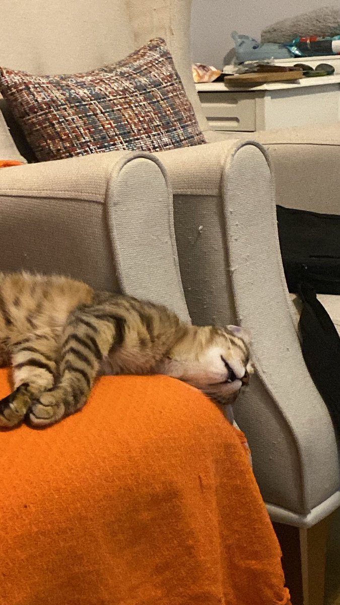 edakavall's tweet photo. 🤤 https://t.co/tGN4ajFR0I