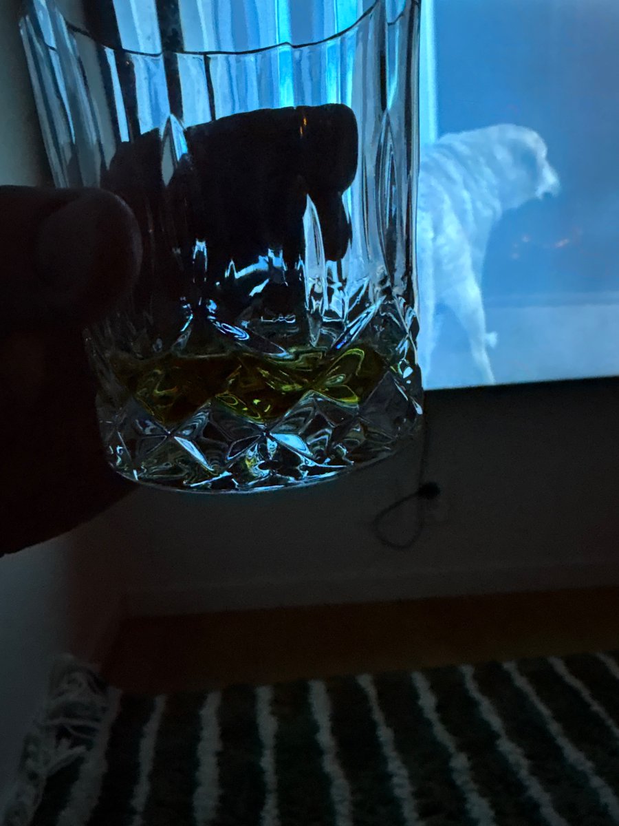 Dannekaiser tweet media