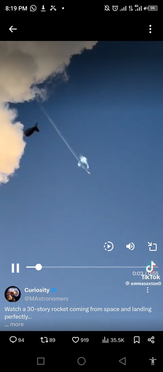 WeirdFileX tweet media