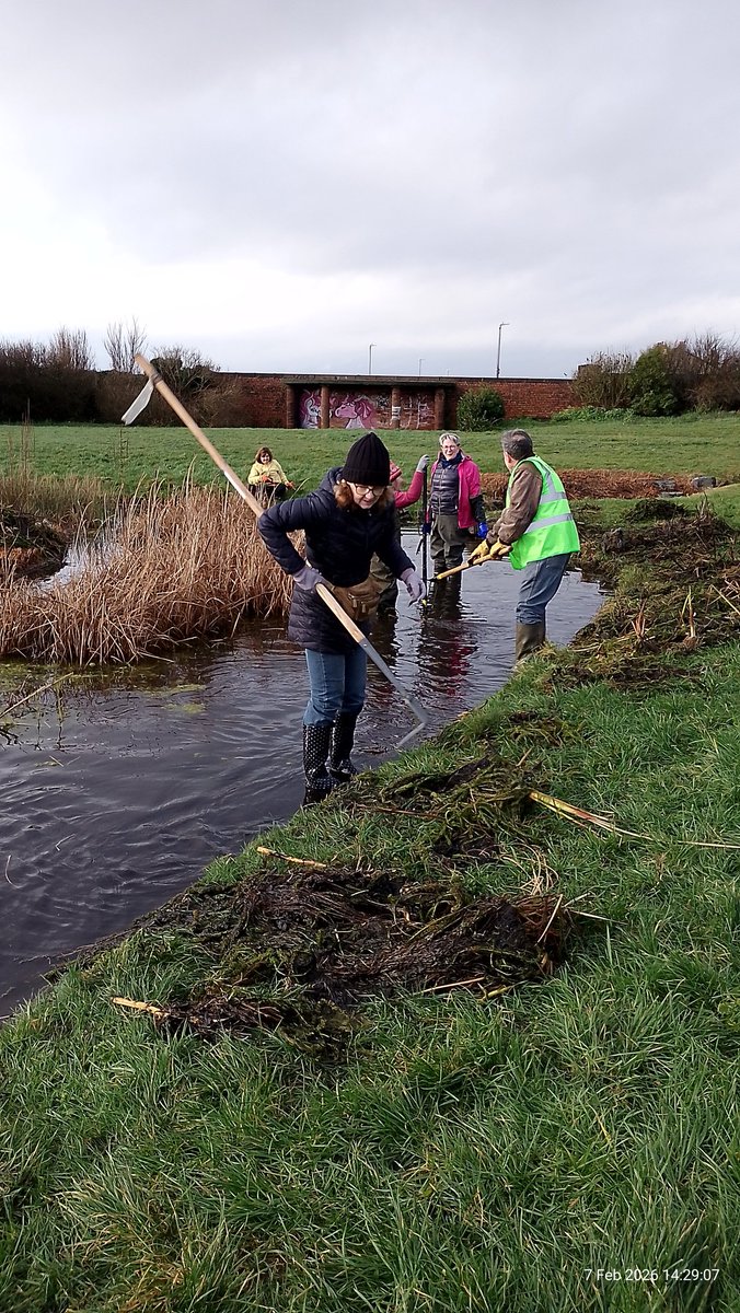 L22 Seafront Gardens tweet media