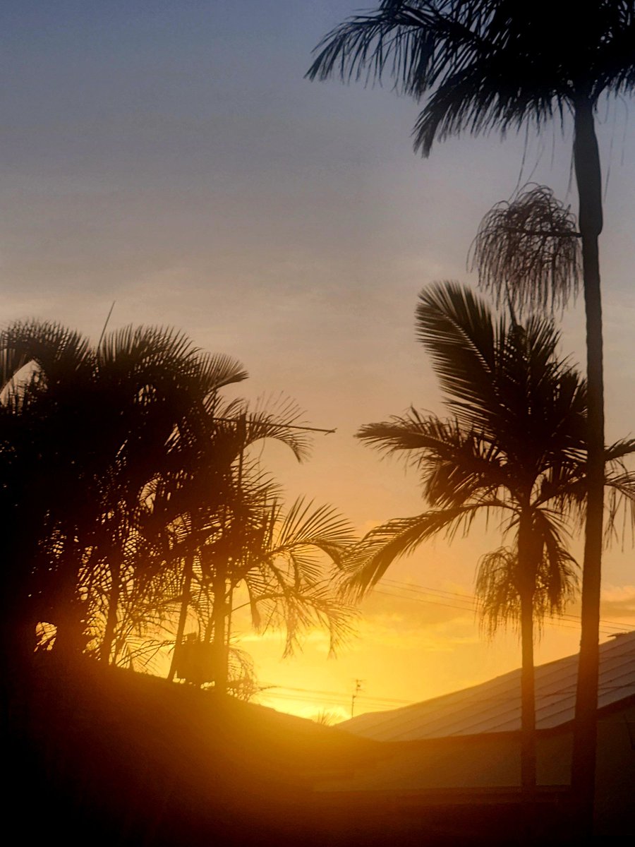 Sunflower123 tweet media