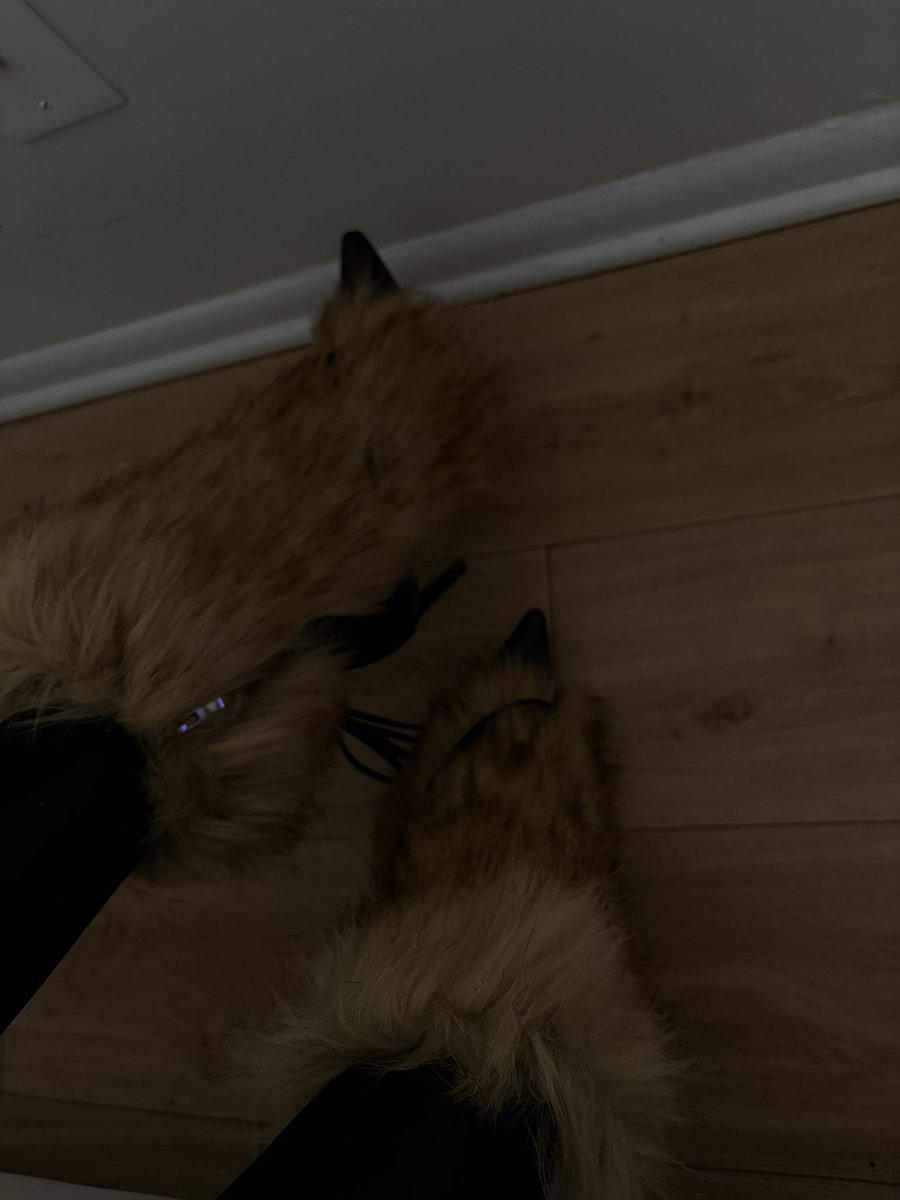 february3rd__'s tweet image. #birthdayweekend 🫣