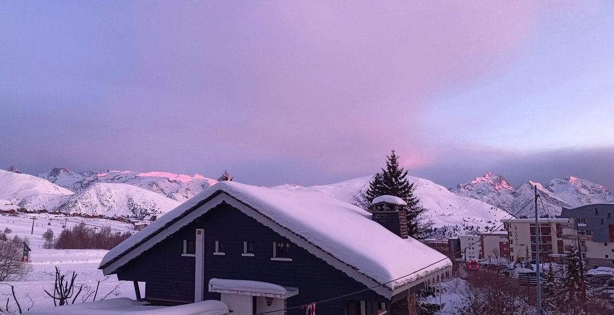 .angie • |-/ • MSF + APE tweet media