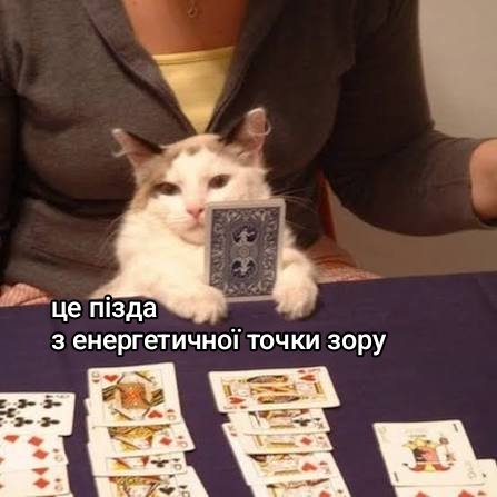 Наталя підтримує зозулю (@windbutsunny) on Twitter photo 