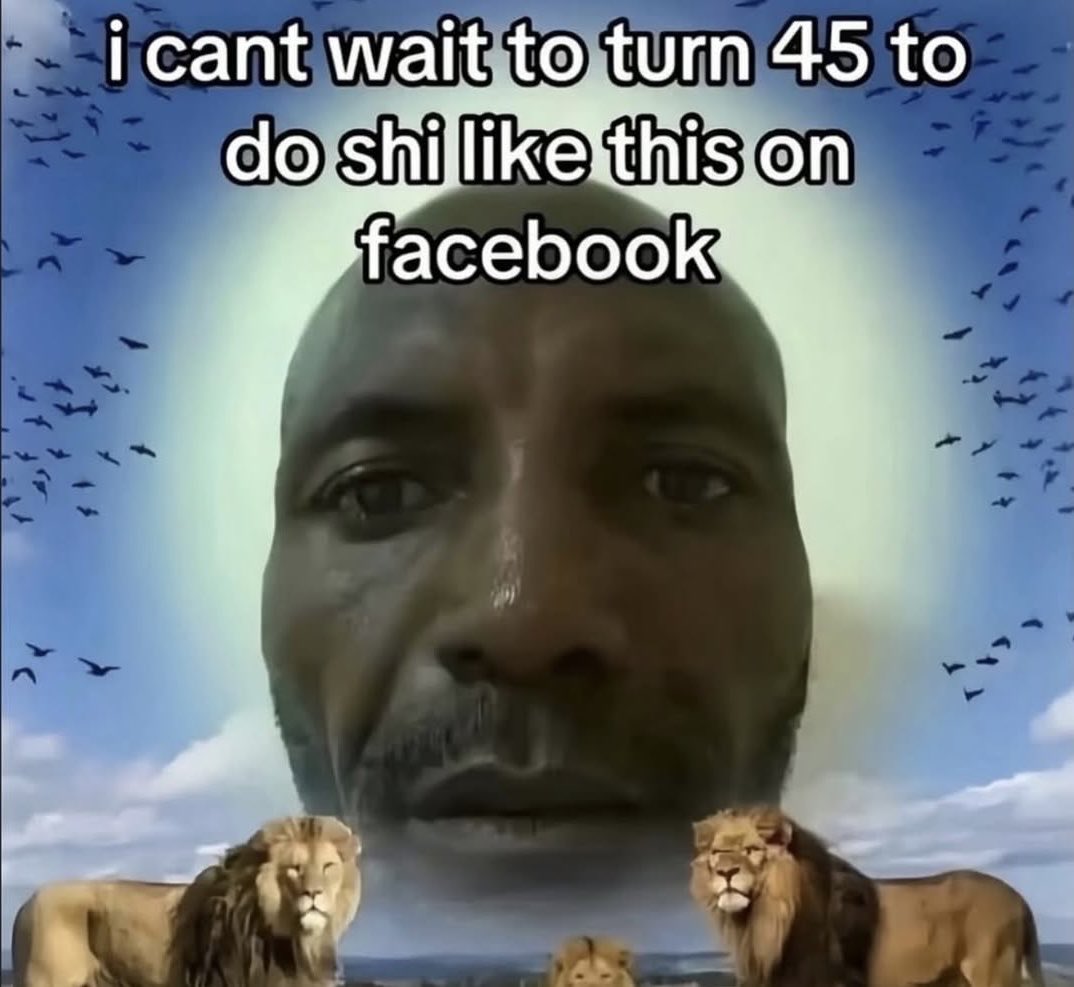 Wild Sentences (@wildsentences) on Twitter photo 