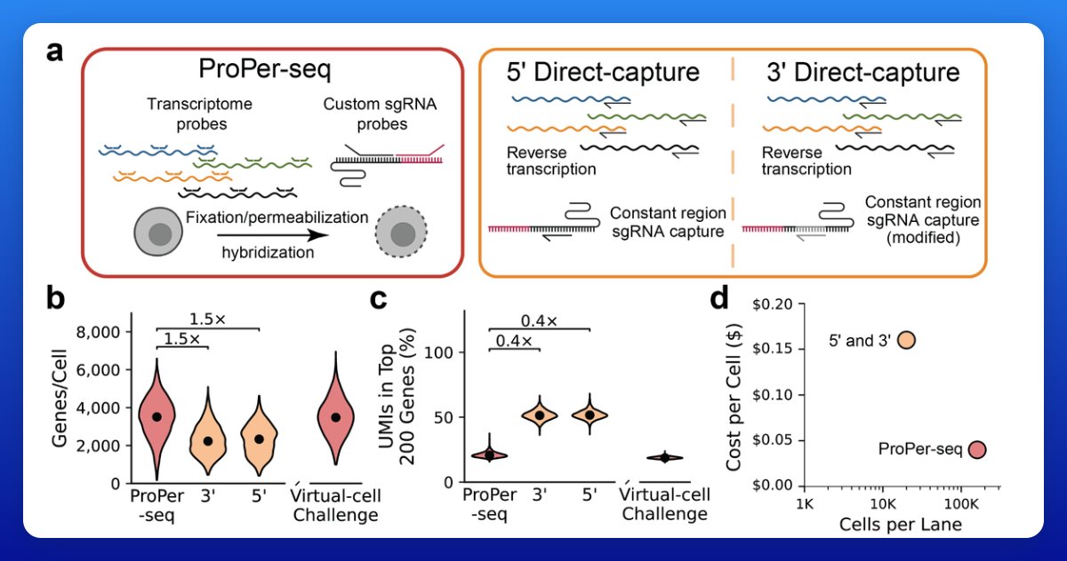 Elliot Hershberg tweet media