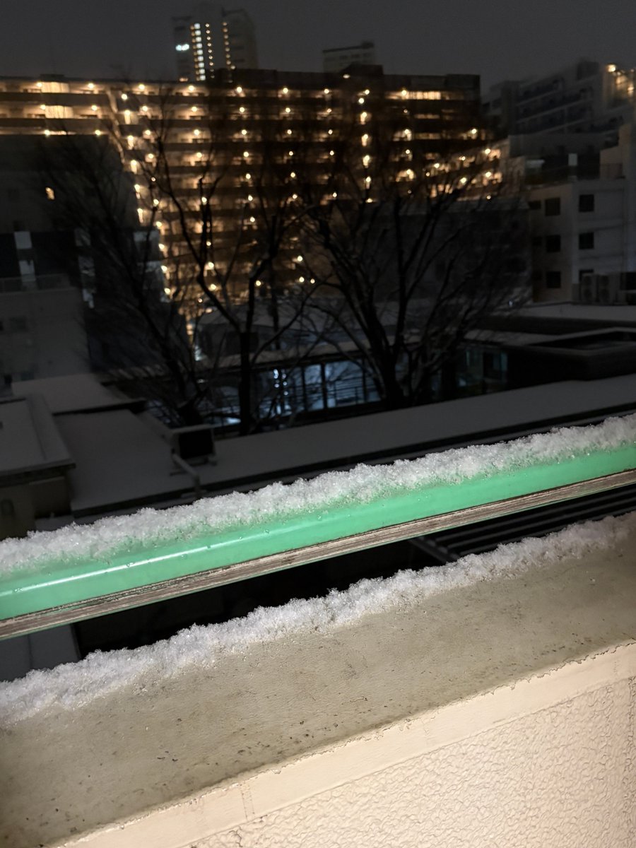 senokiyo's tweet photo. 東京に来て、57年かな？こんな雪景色は初めて！南風のなせる技かな？粉雪が舞っている。気温1° https://t.co/DB1wdTQoMV