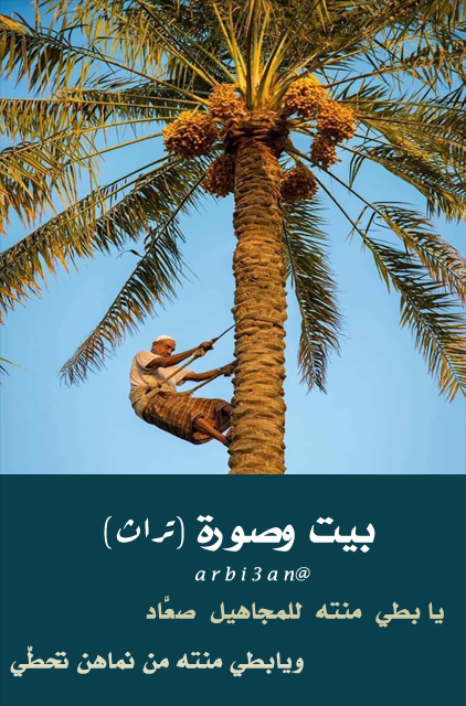 ------------- بيت وصورة -------------
.