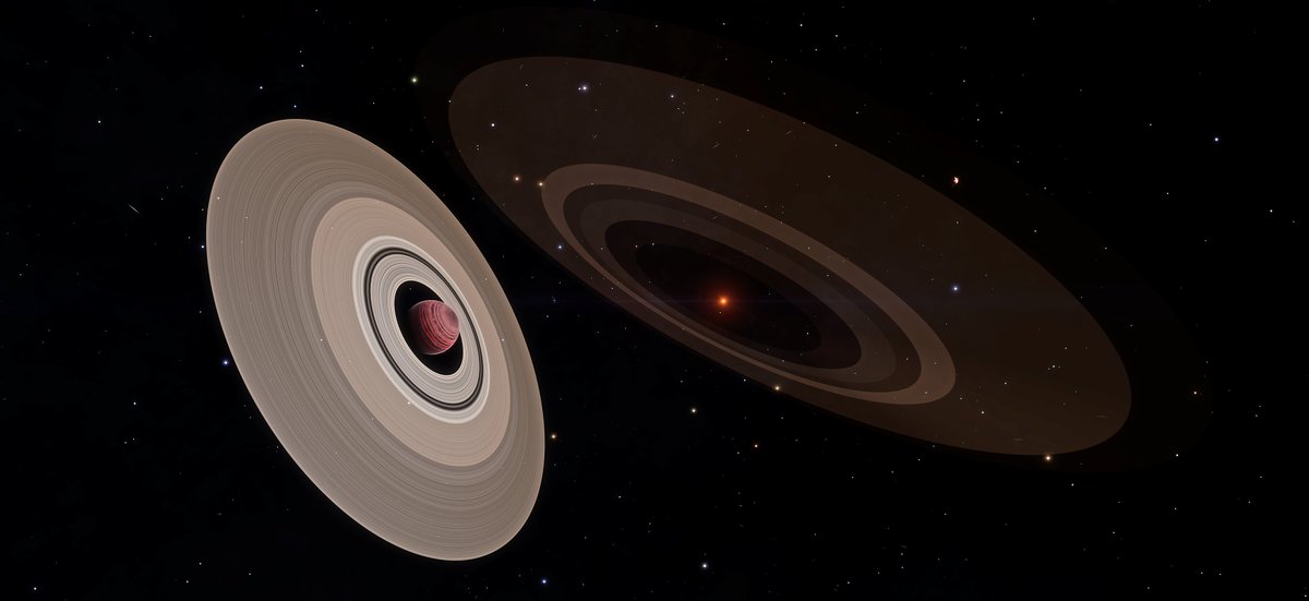 CMDR XpressioN tweet media