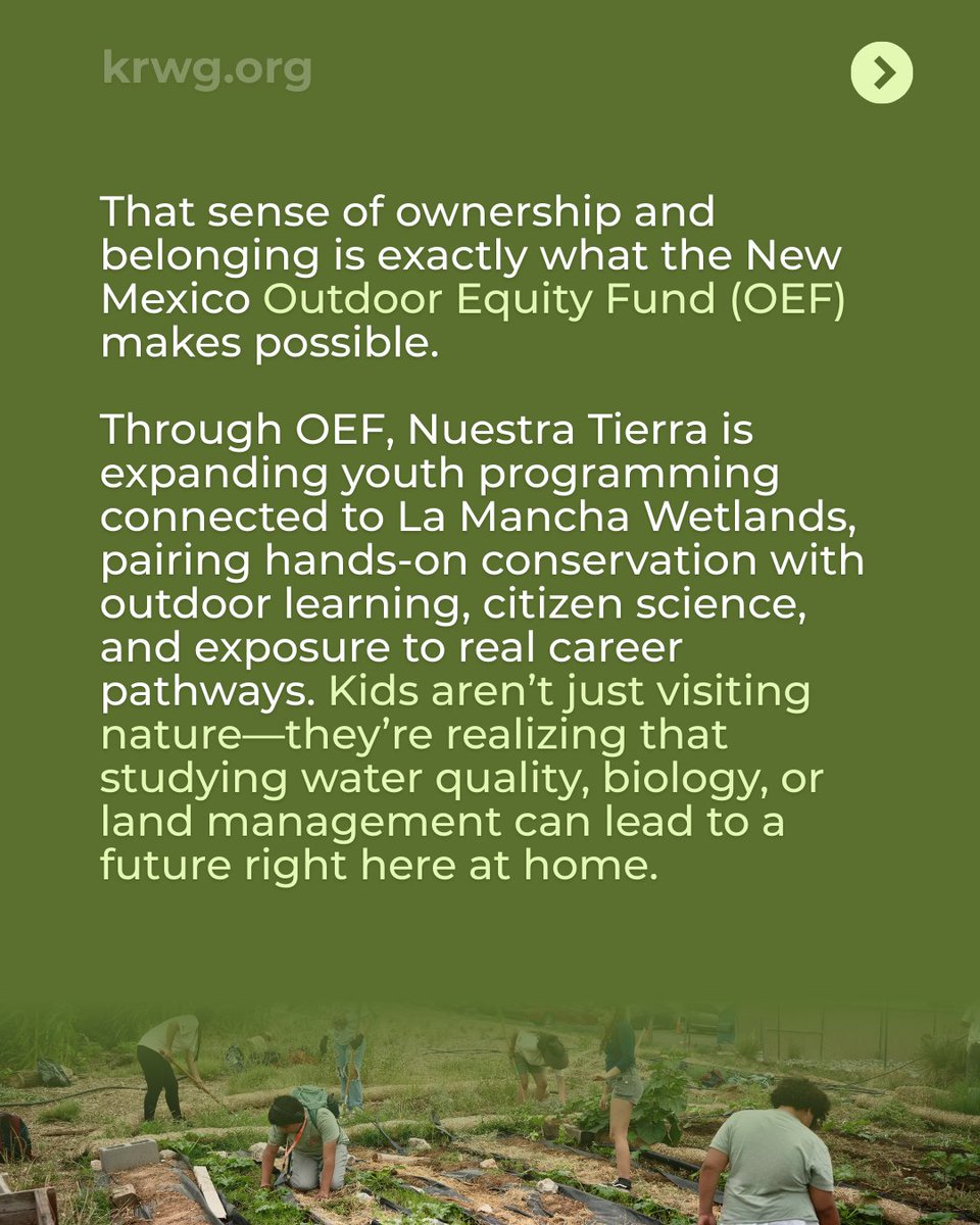 The Semilla Project tweet media