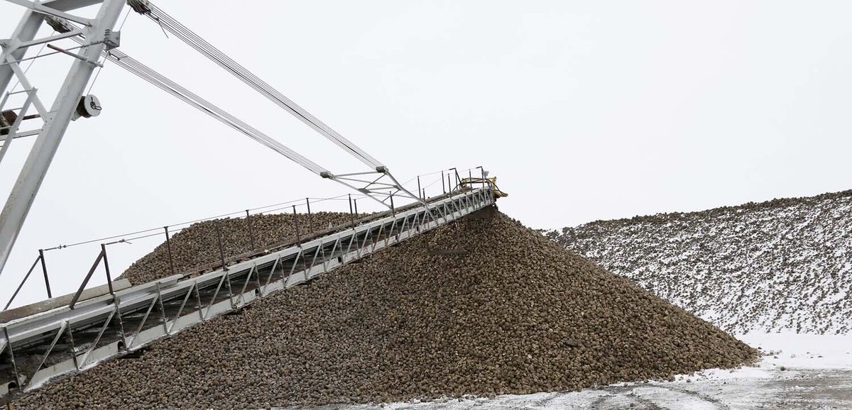 AbSugarBeetGrowers tweet media