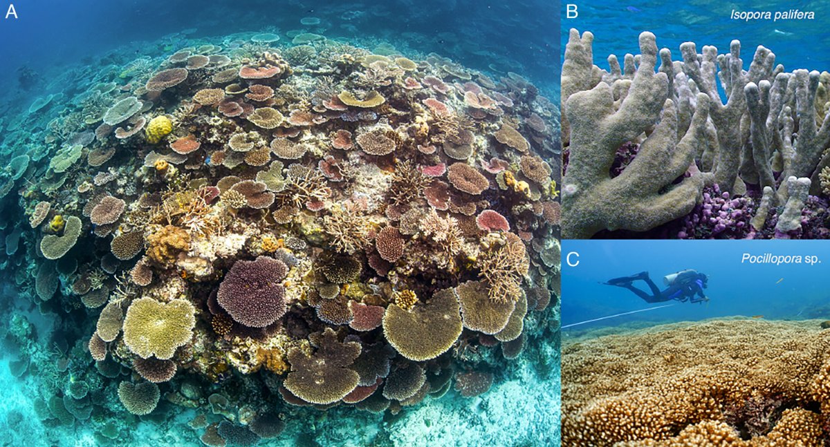 PNASNews tweet media