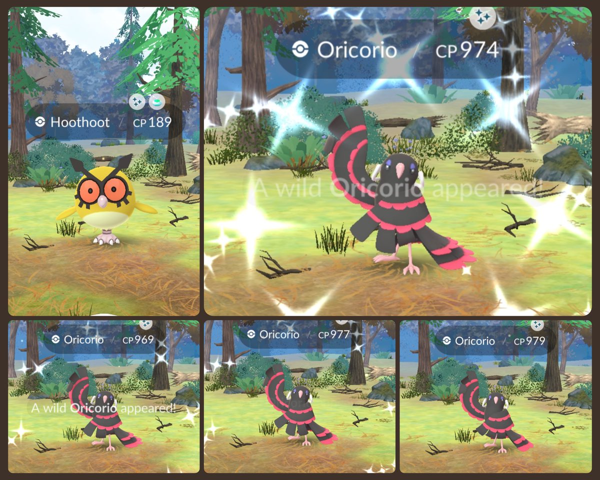 95 Oricorio encounters today. Sparkles four times on Oricorio and once on Hoothoot ✨🤩✨ #PokemonGO #ShinyPokemon