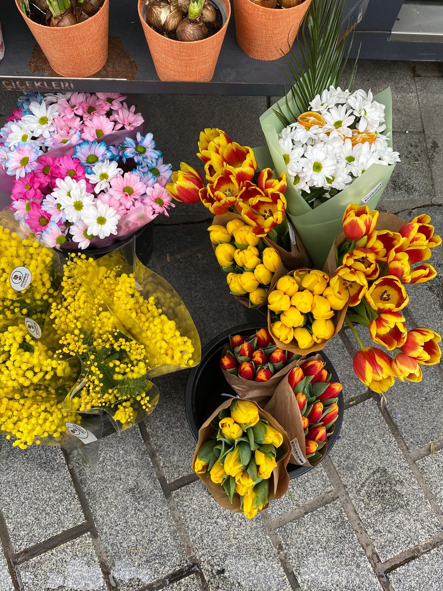 Benim lale aşkım yalnız