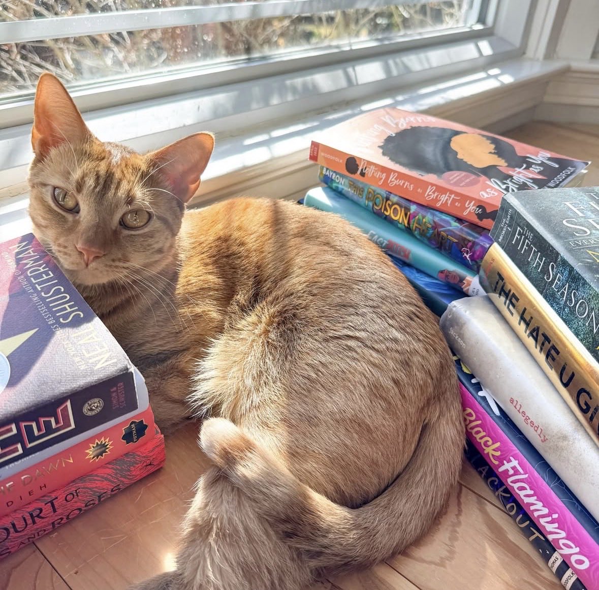 What kind of story are you sitting with right now — reading, revising, or still waiting for its moment? 📚
#AmWriting #AmReading #BookCommunity