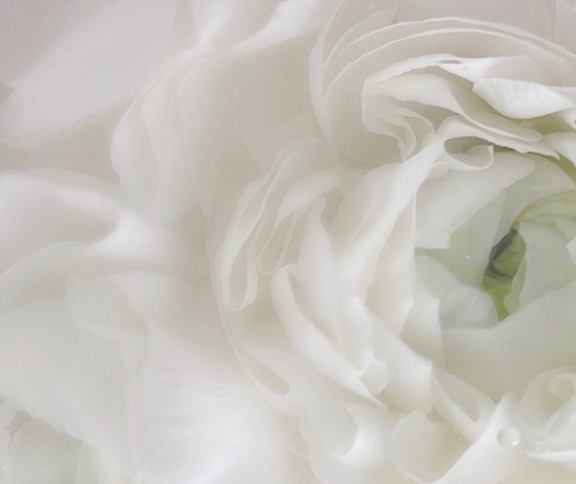 きえも tweet media