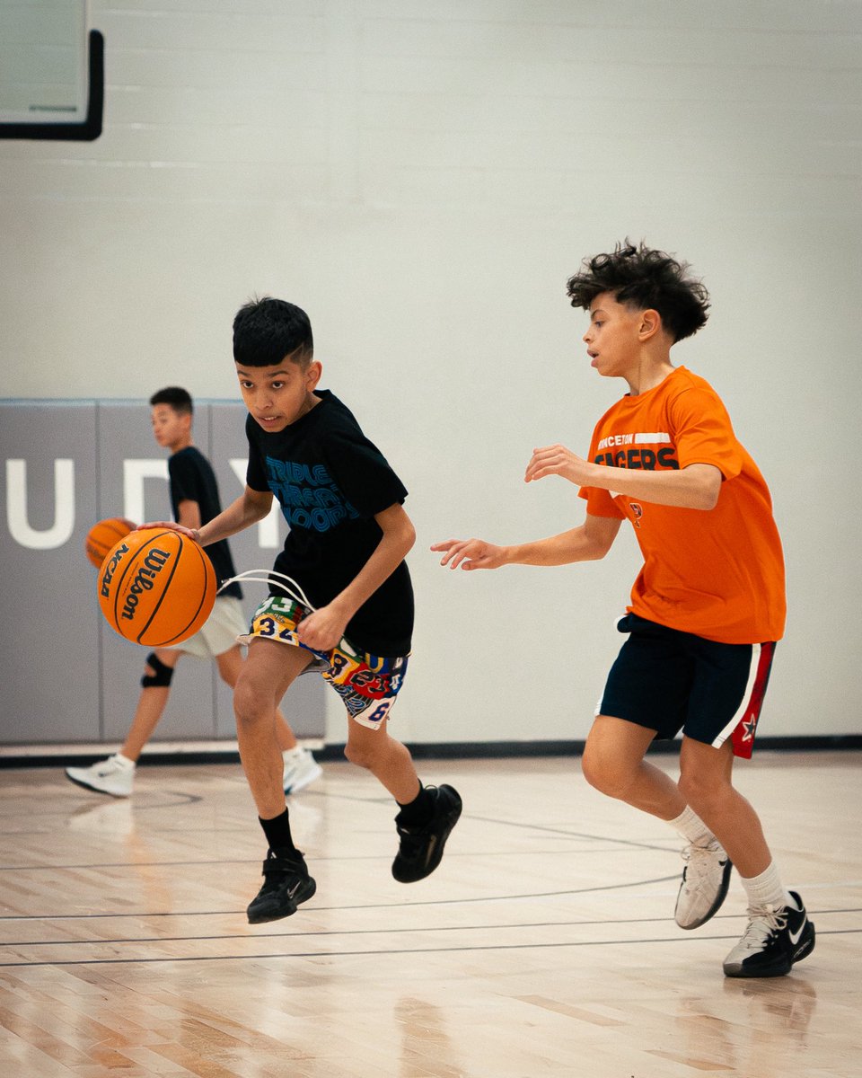 HoopStudy tweet media