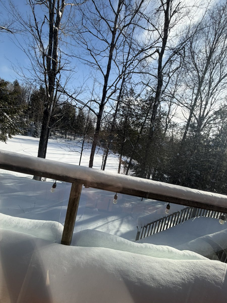 Aly Lane (she/her) tweet media