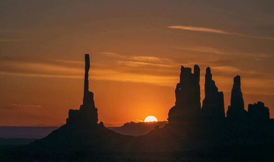 Joan Carroll tweet media