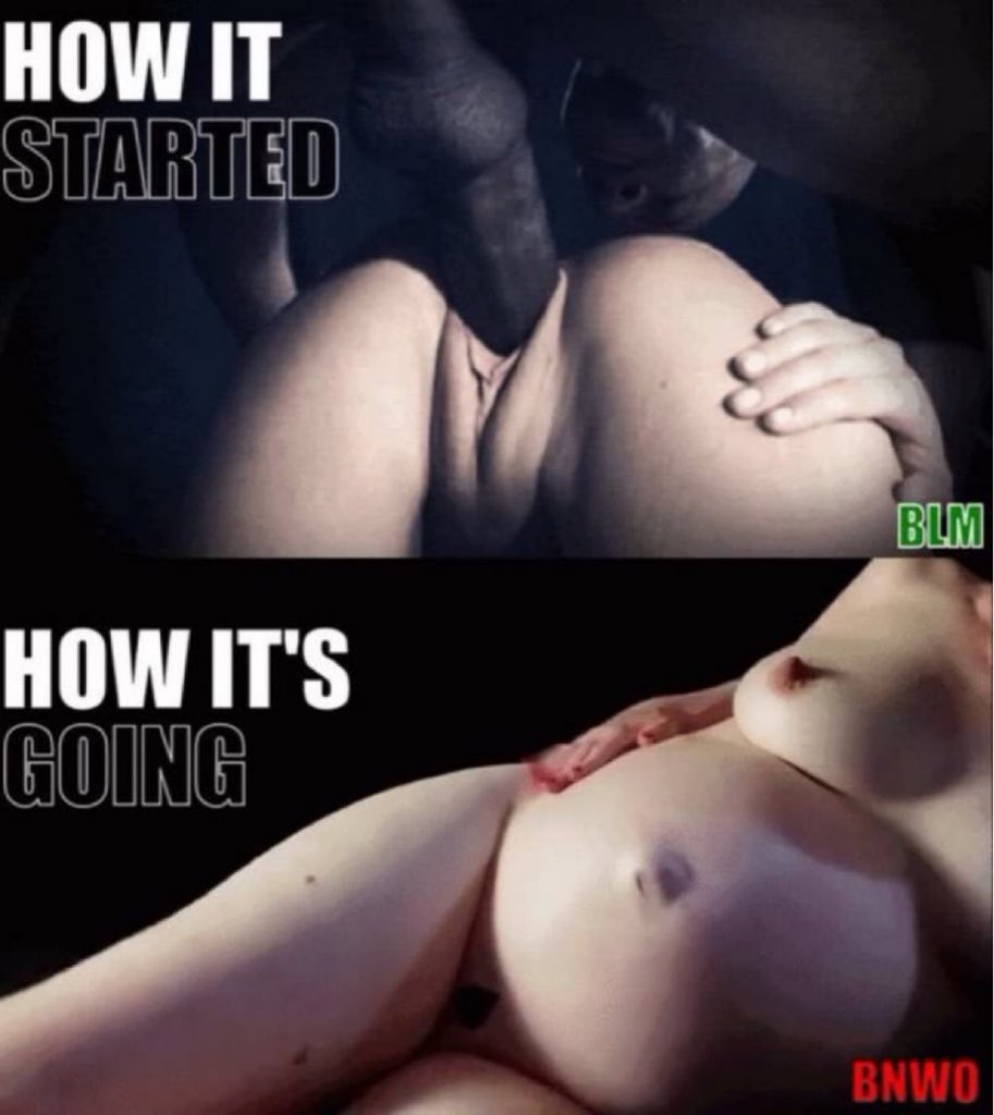 ALPHA BULL tweet media