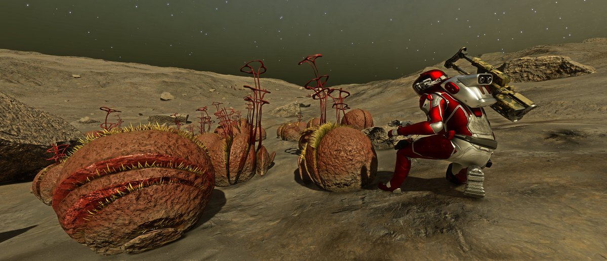 CMDR XpressioN tweet media
