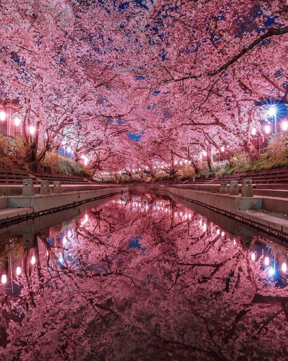 viewsoff_'s tweet image. Saitama, Japan. 🌸