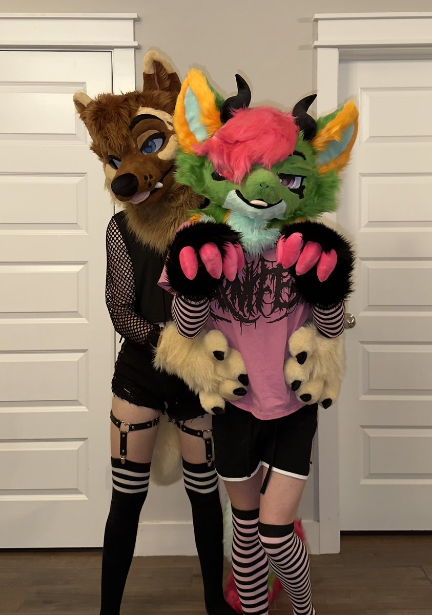 FireShep 🔜TFF tweet media