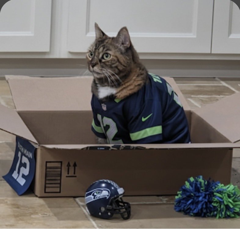 Fendi and angel Foxy tweet media