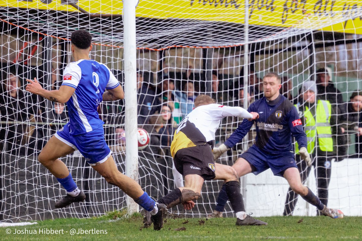 𝘑𝘰𝘴𝘩 tweet media