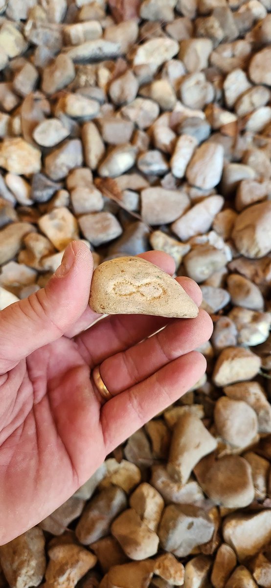 Rabid_Rabbit_MC 🐰 tweet media