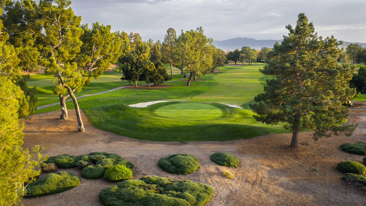 Patrick Koenig tweet media