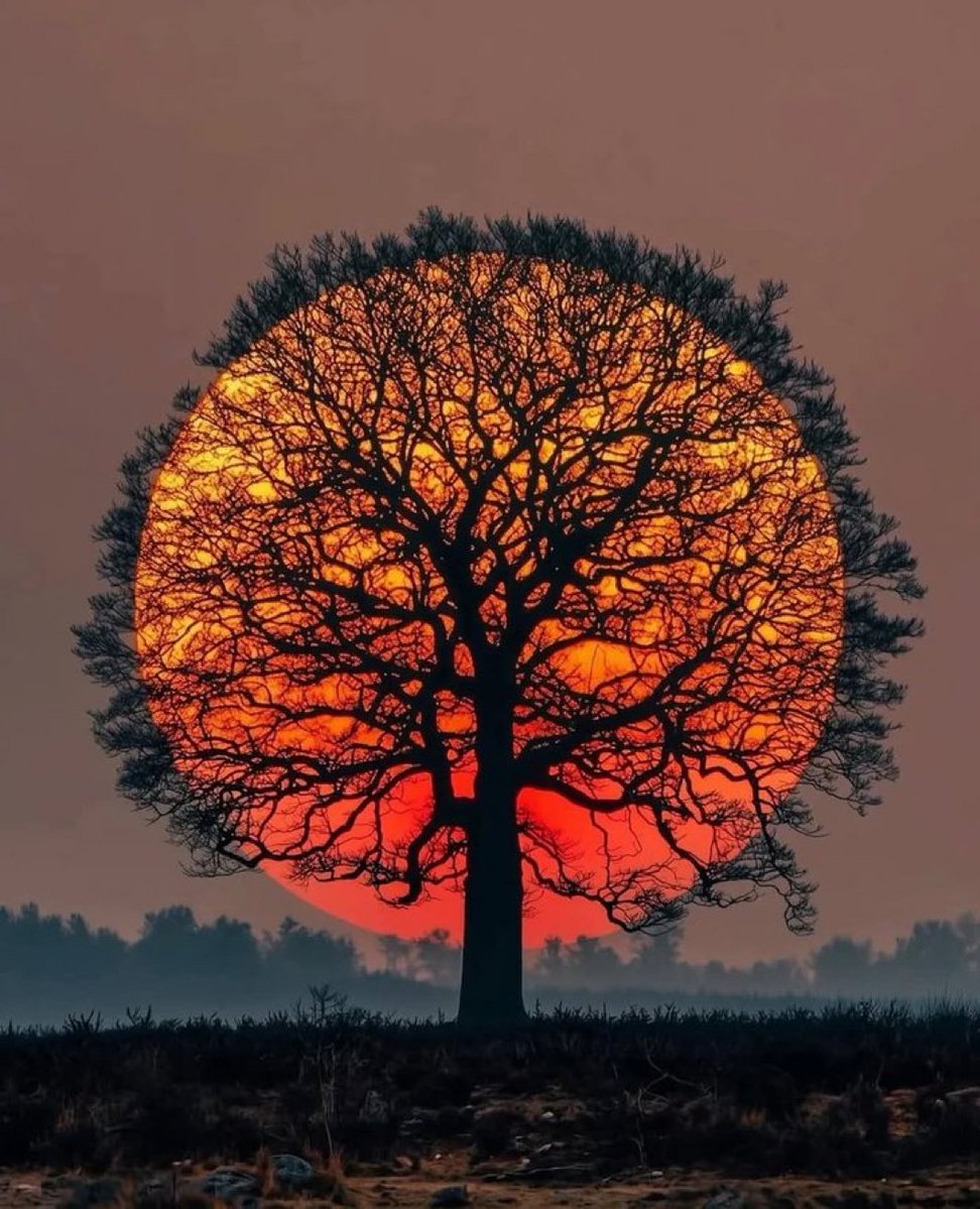 MOON LOVER (@m1onlover) on Twitter photo 