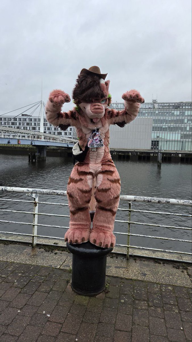 Tag ➡️ TFF, CFz tweet media