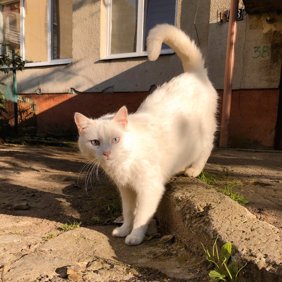 hîv. (@sorrrowfull) on Twitter photo 