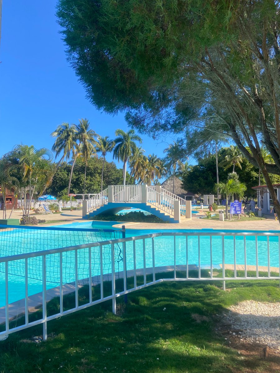 Nuestra piscina en #brisasdelcaribe es el escenario ideal para disfrutar del sol, relajarte con amigos y vivir momentos únicos durante tu estancia.
Cada chapuzón es parte de la experiencia que hace de nuestro hotel tu destino favorito en #Varadero.