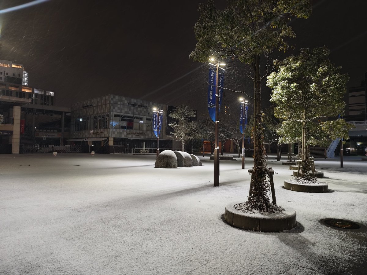 東消社 tweet media